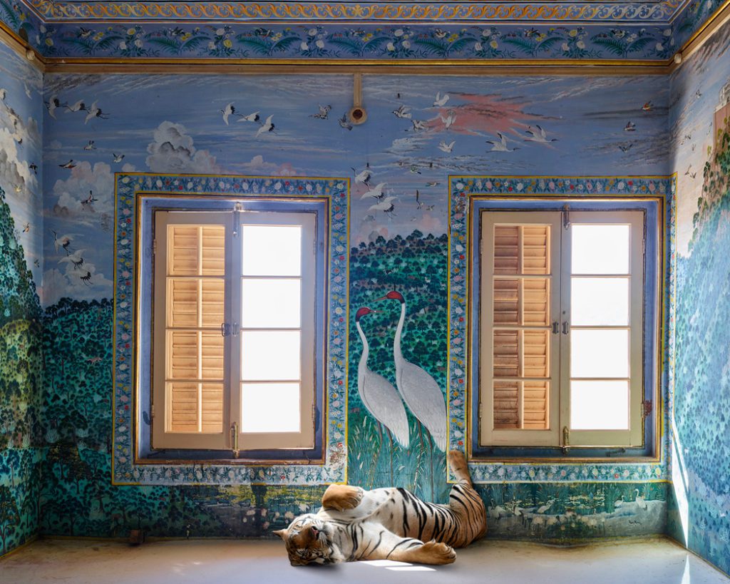 You are currently viewing Karen Knorr – Fables et autres contes