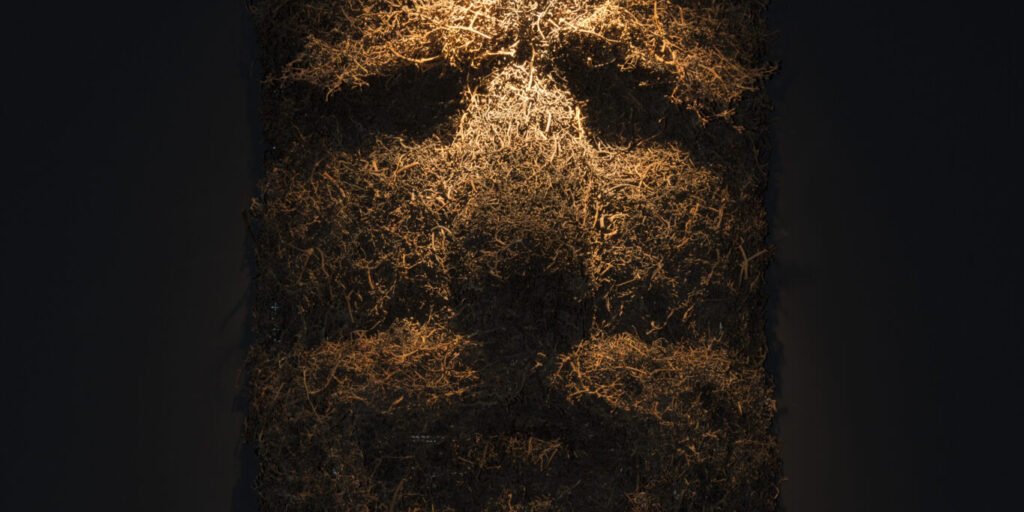 Exposition Ce qui nous regarde d&rsquo;Hilario ISOLA