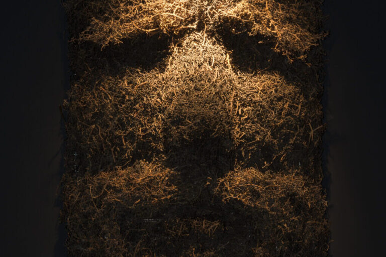 Exposition Ce qui nous regarde d&rsquo;Hilario ISOLA